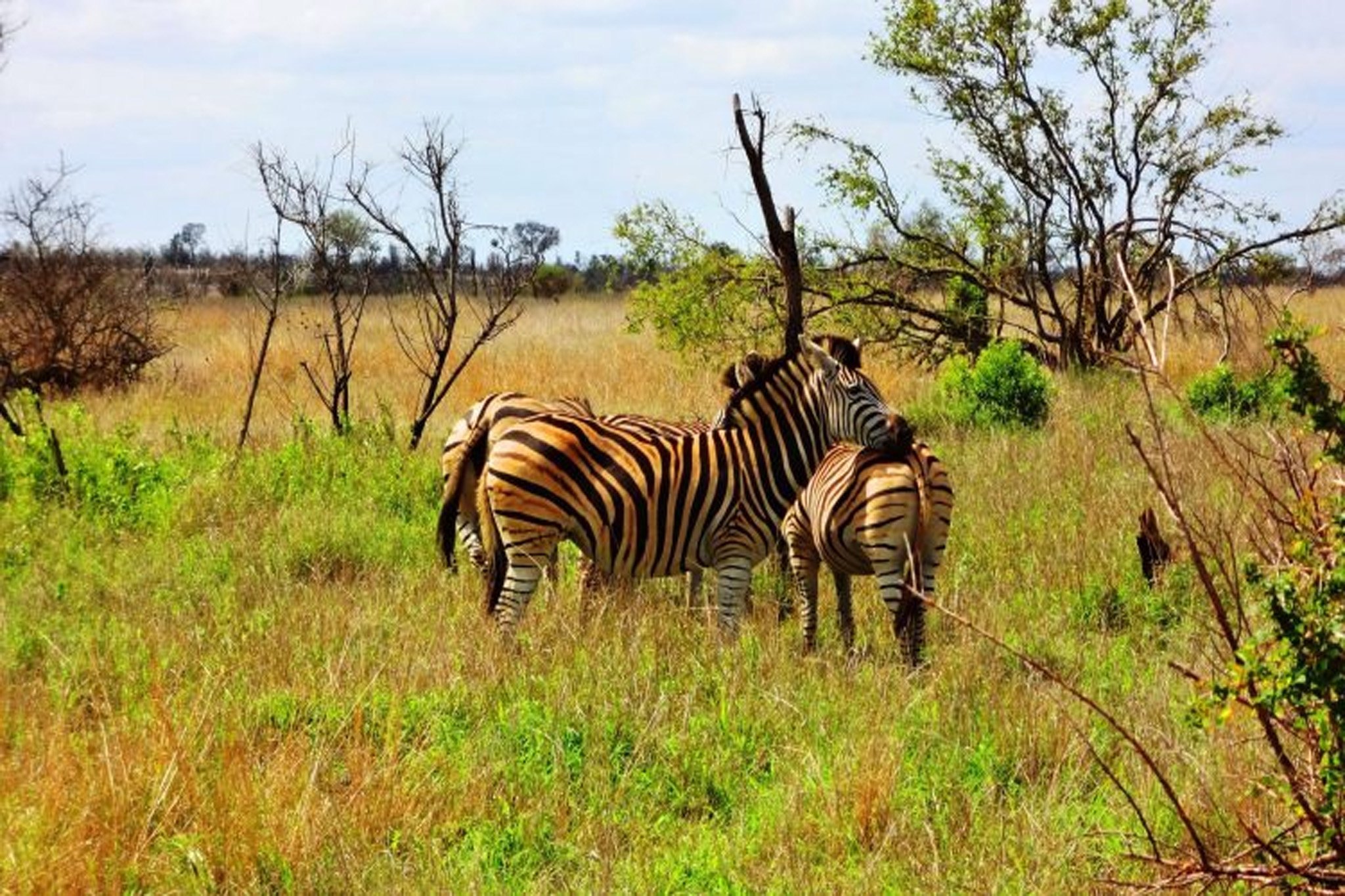 Kabwoya Wildlife Reserve
