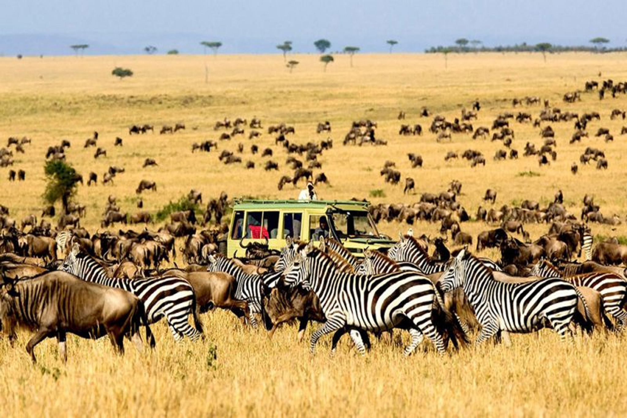 Best Of Tanzania Tours