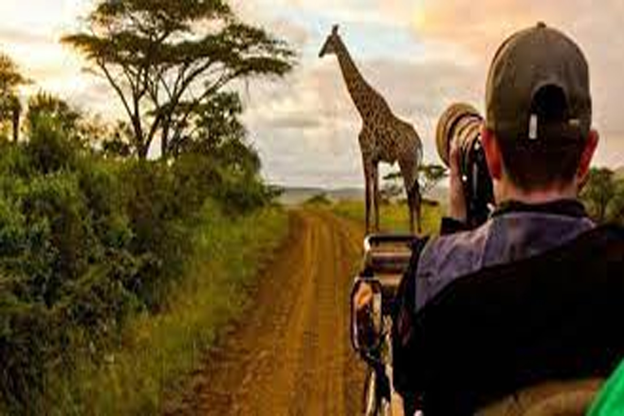 African Photo Safari