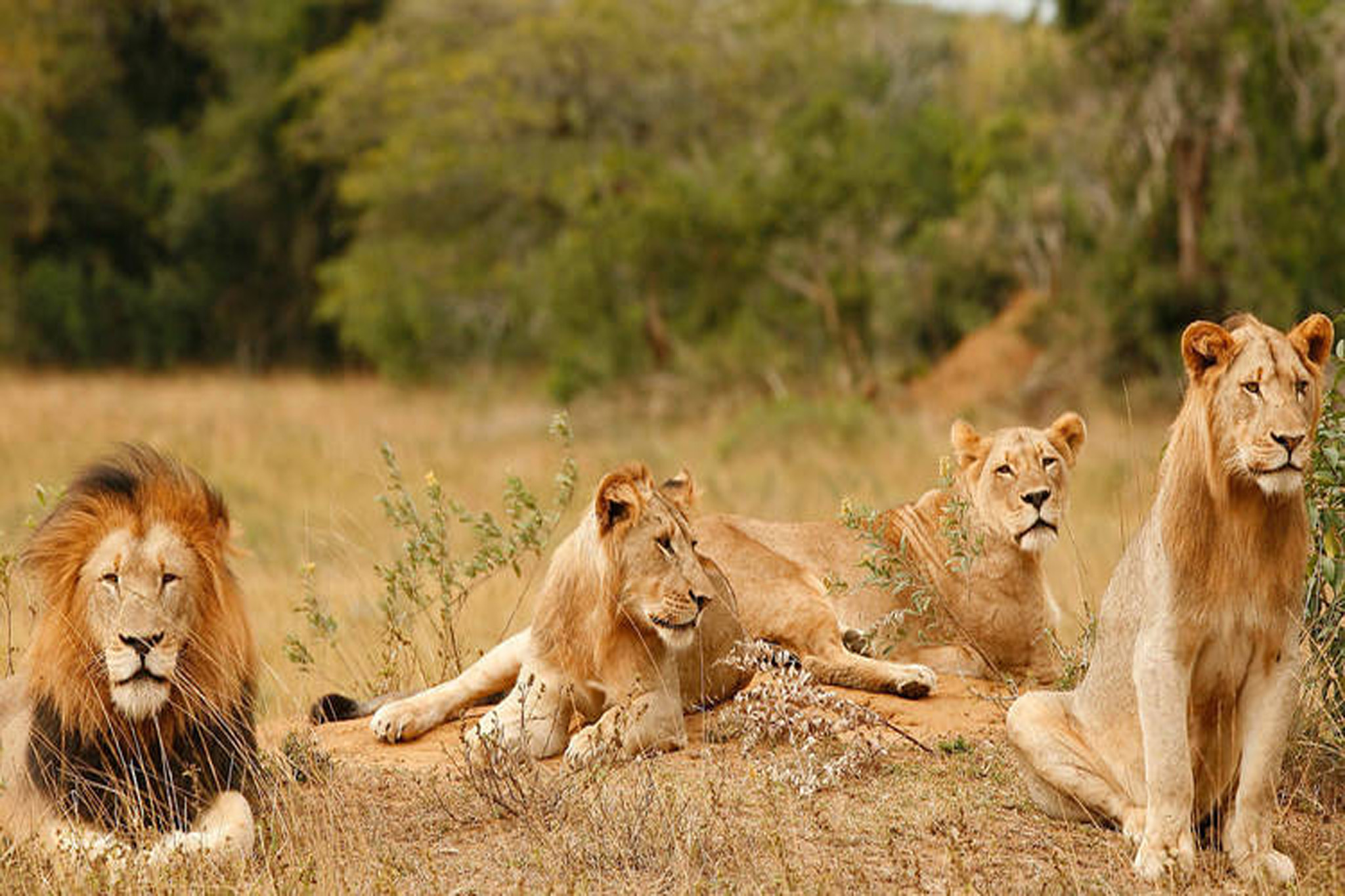 African Safari Places