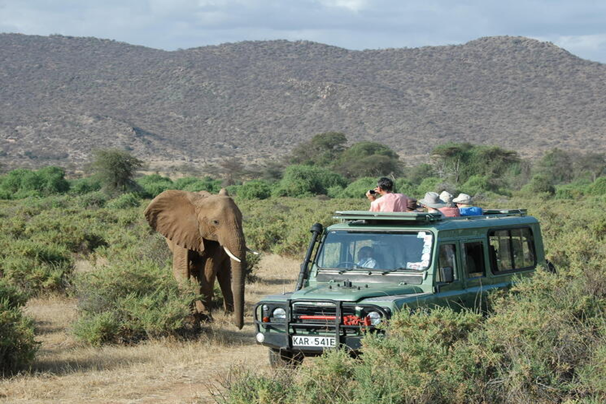 wildlife safaris
