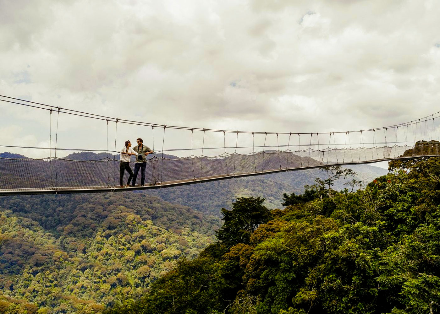 5-days-nyungwe-forest-chimpanzee-safari