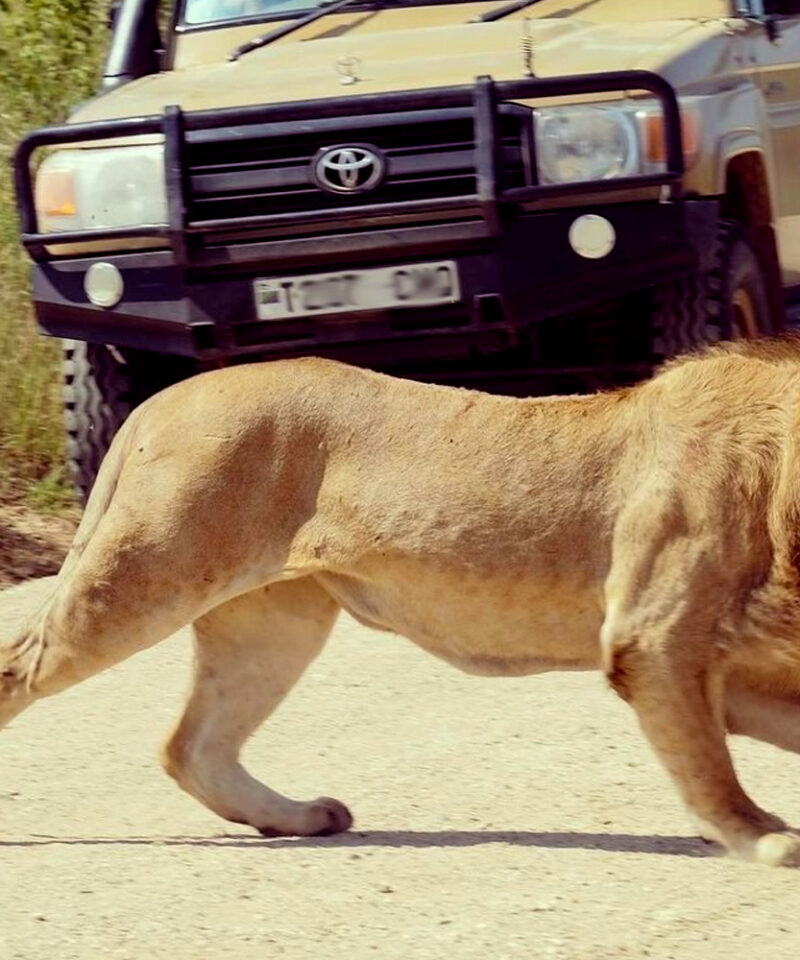 5-days-serengeti-national-park-ngorongoro-crater-midrange-safari