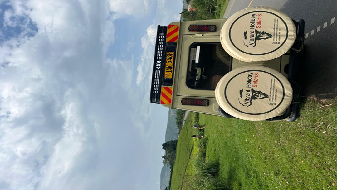 The Safari Anti-Bucket List