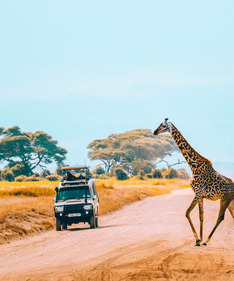5-days-trip-to-kenya
