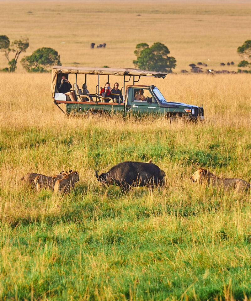 6-days-exprole-kenya-safari