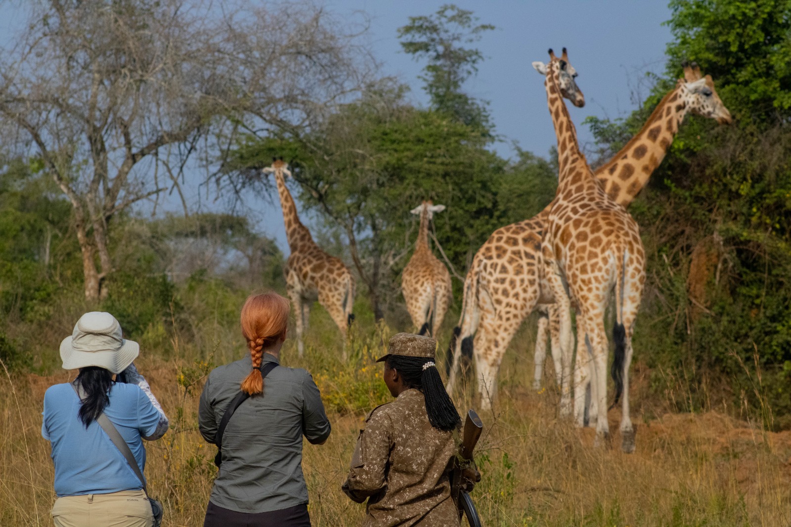 Enjoy a walking Safari on our 6 Day Wildlife Safari in Uganda - Vibrant Holiday Safaris