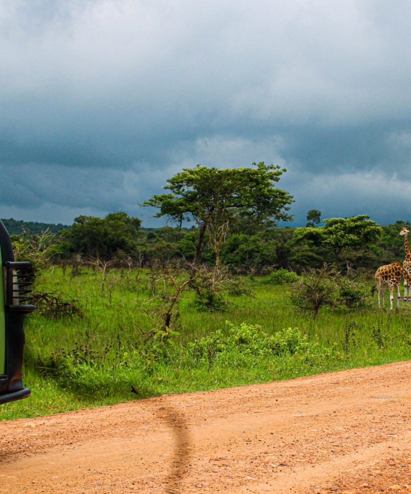 2 Days Lake Mburo National Park - Uganda Safari