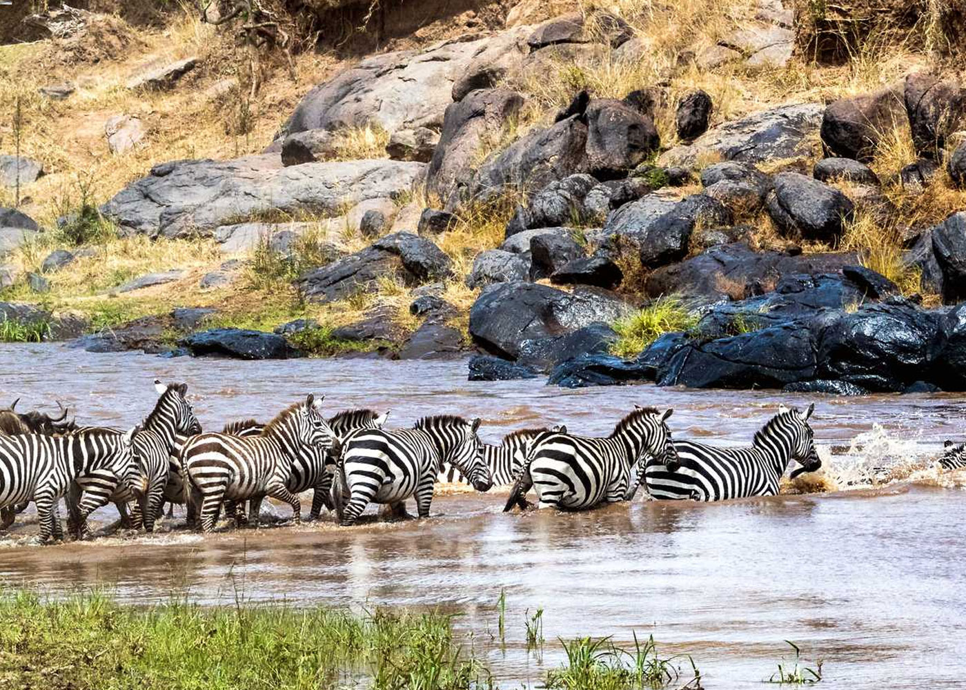 8-days-classic-kenya-safari-package