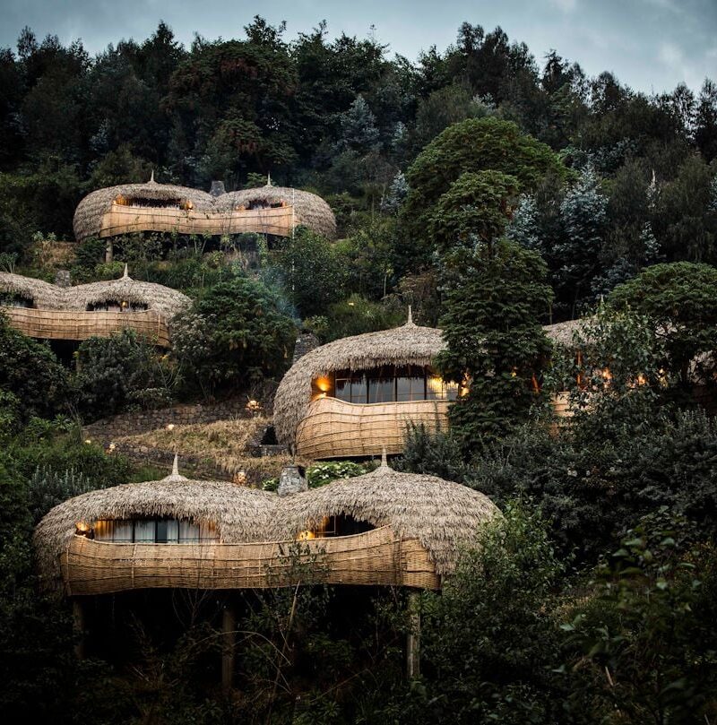 Luxury Rwanda Uganda Safari