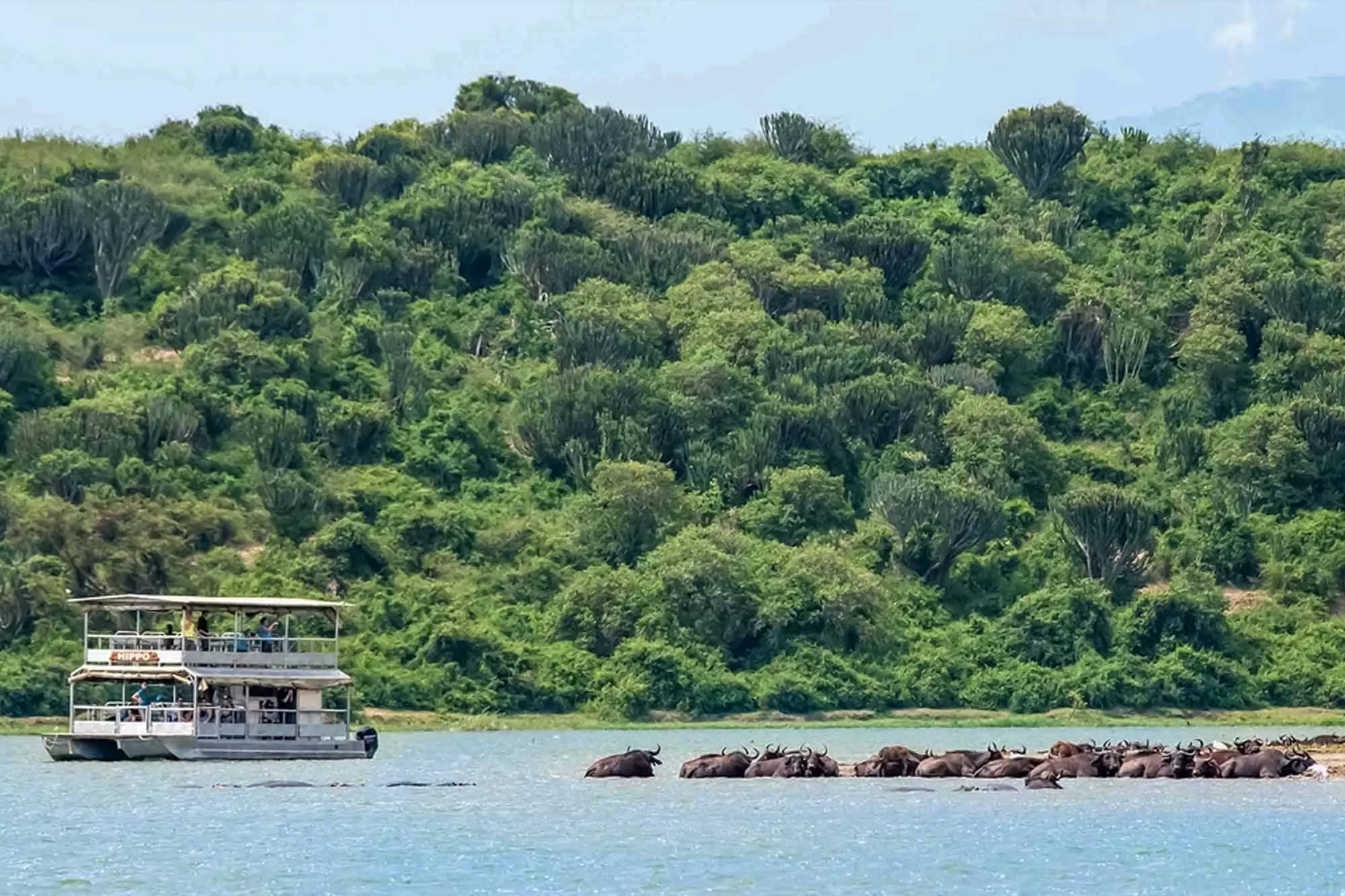 boat cruise on kazinga channel