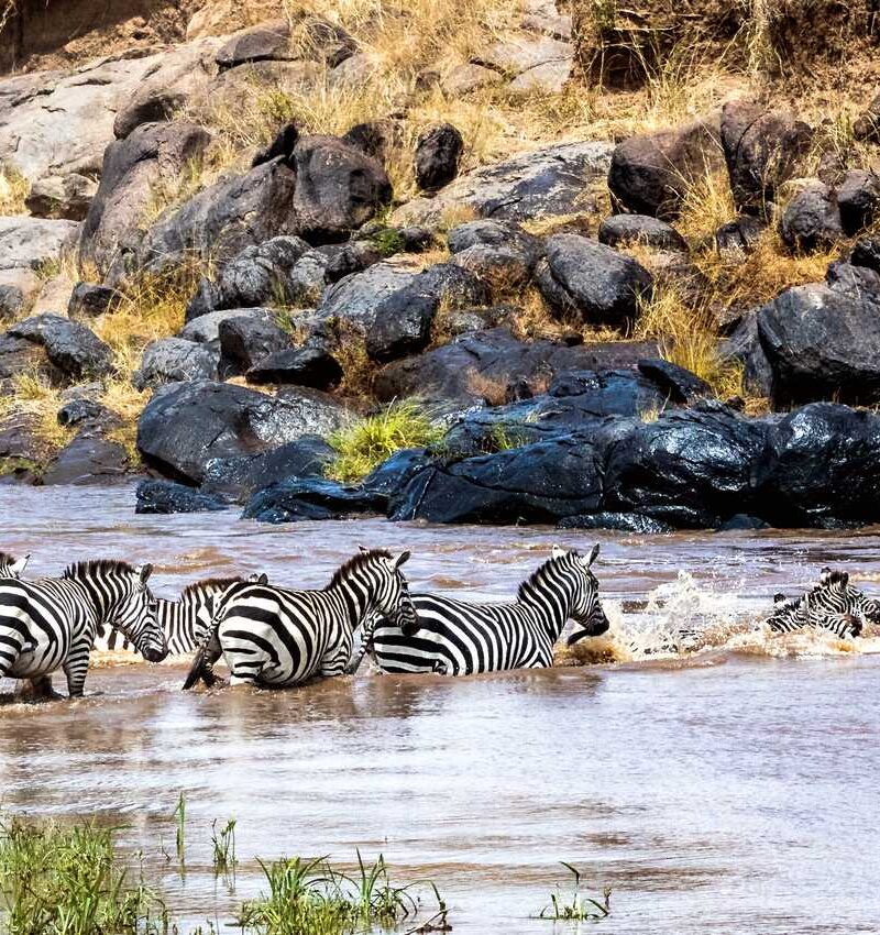 river crossing in the mara river