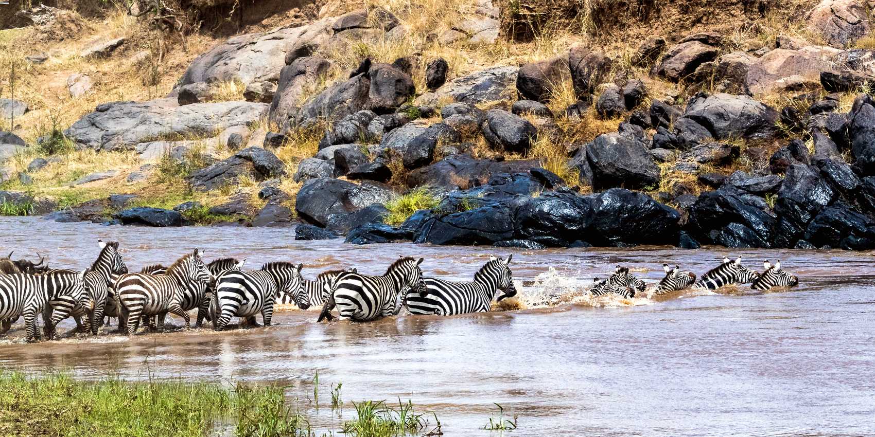 river crossing in the mara river