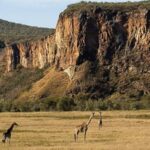 Wildlife at Hell's Gate National Park