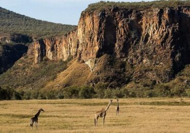 Wildlife at Hell's Gate National Park