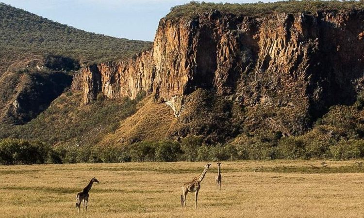 Wildlife at Hell's Gate National Park