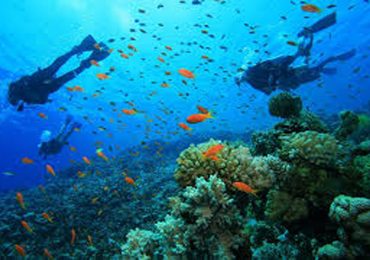 Malindi Marine National Park