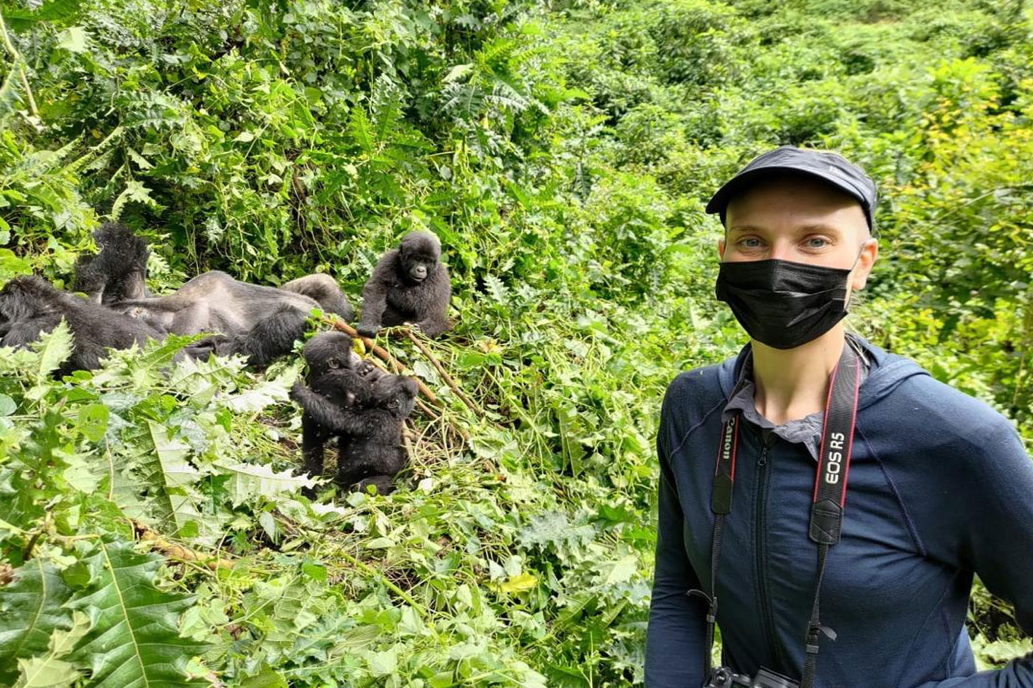 gorilla trekking