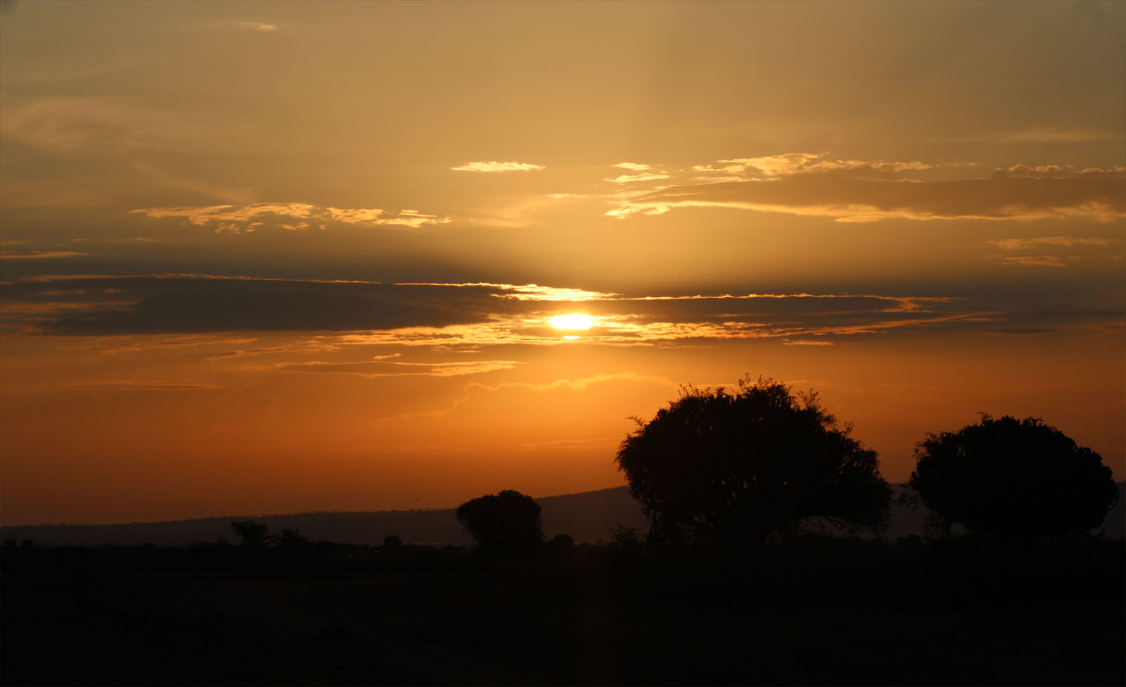Sunset Safaris