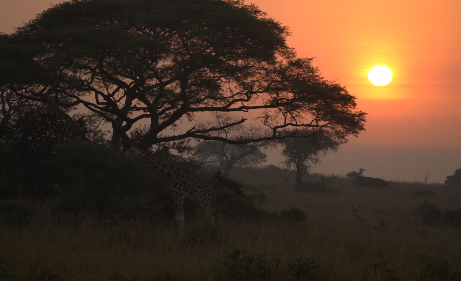 East Africa Safari Cost