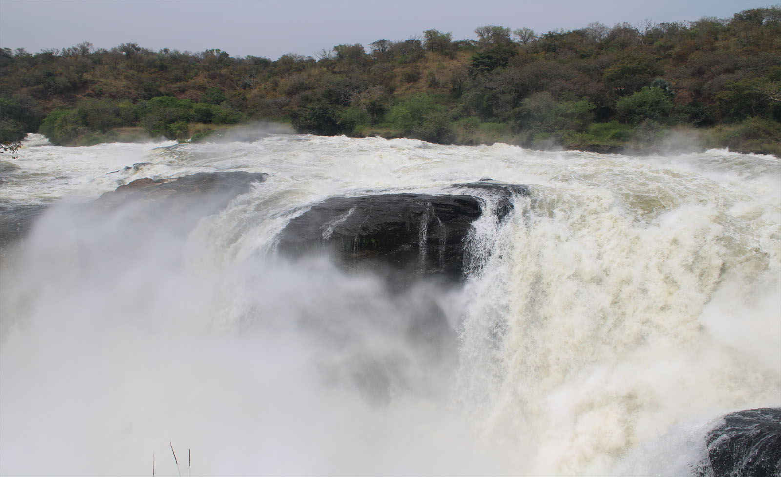 What are the trekking options in Uganda?