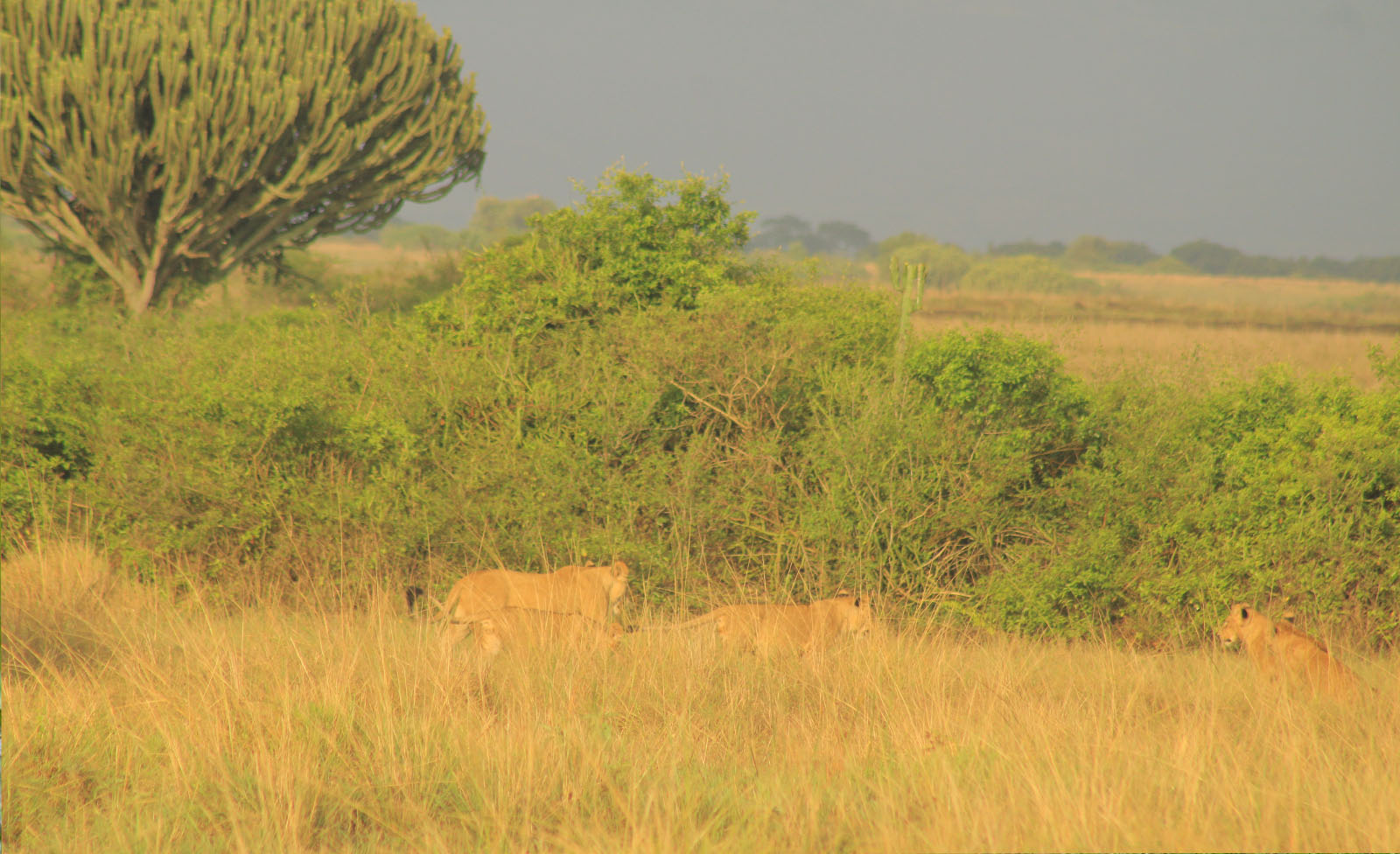 Kasenyi Sector of Queen Elizabeth National Park