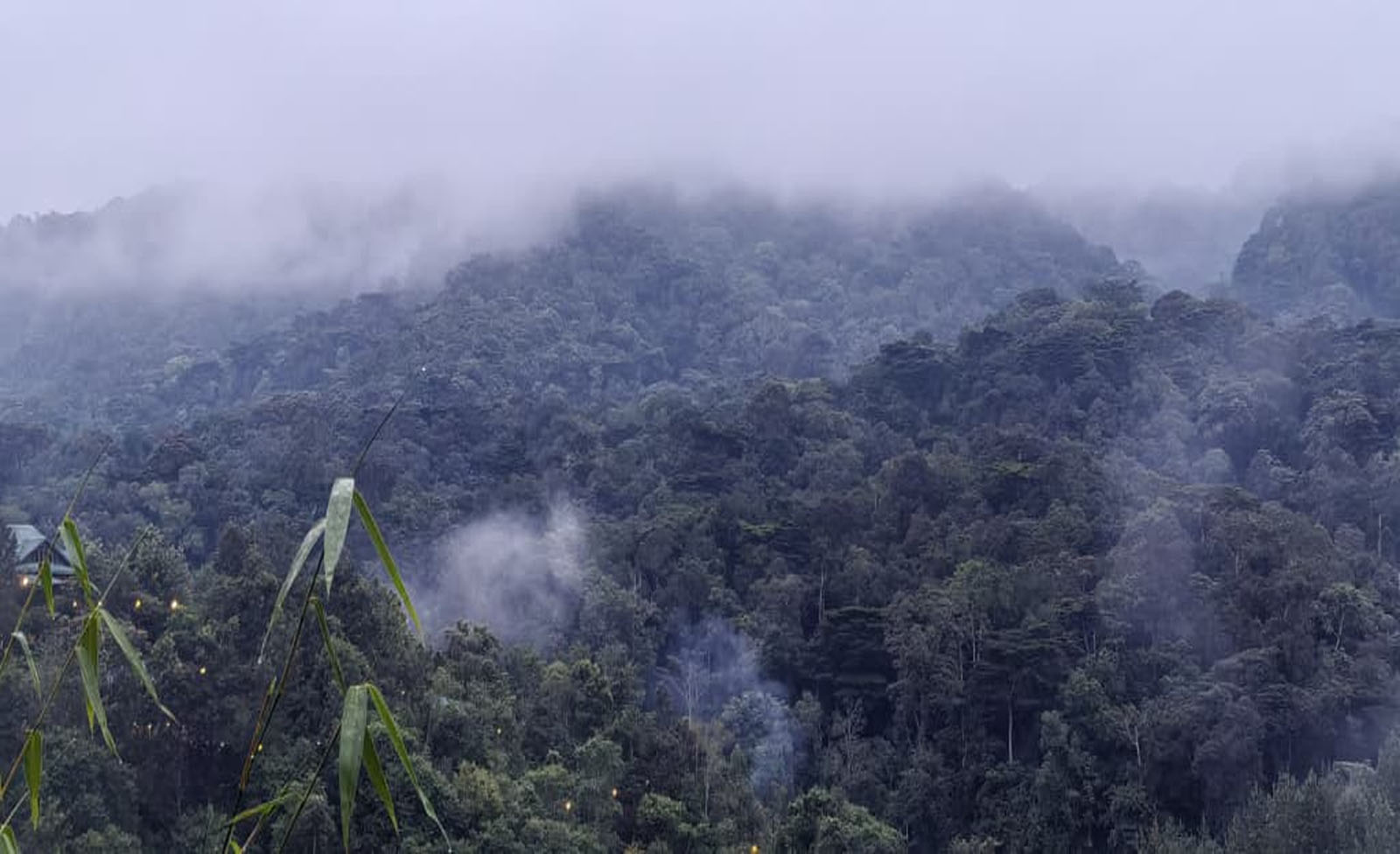 Rushaga Sector