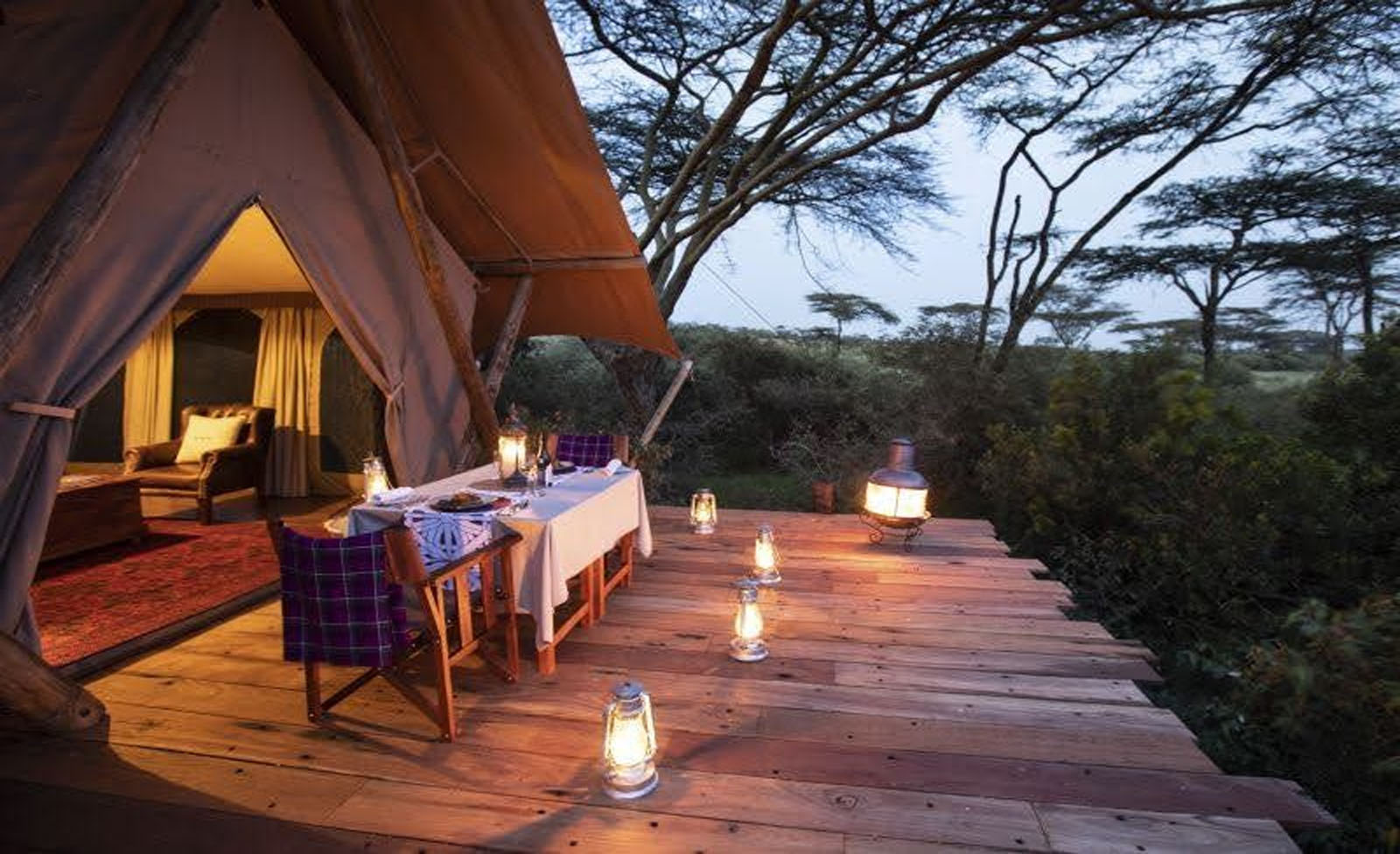What makes Vibrant Holiday Safari your ideal partner?