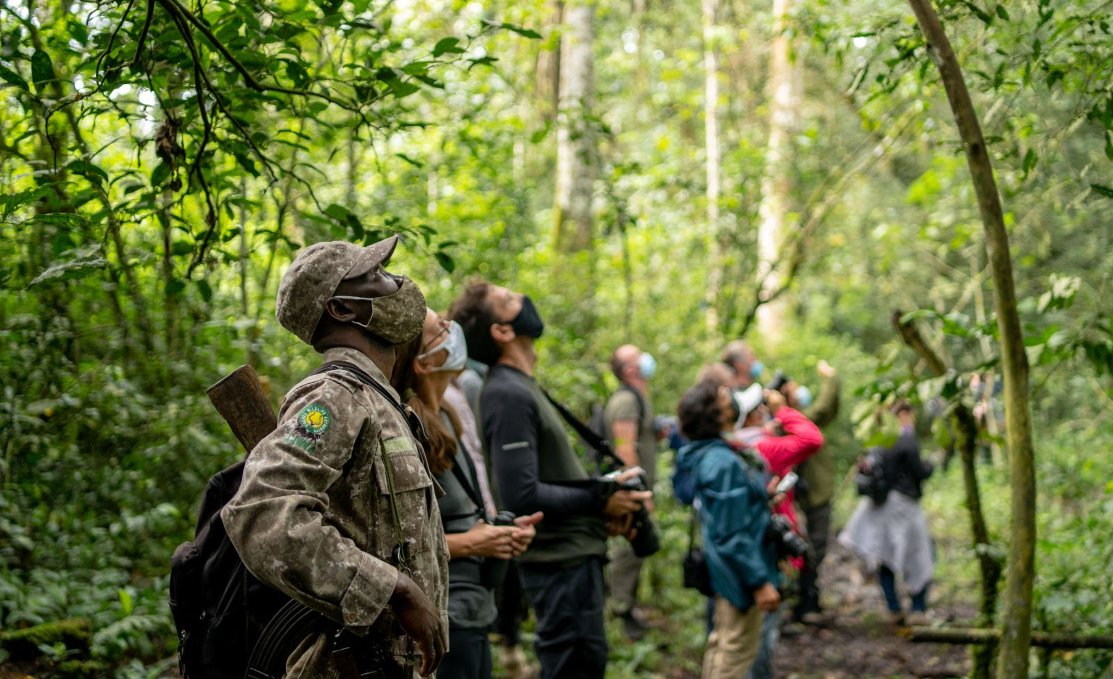 The Significance of Tipping Gorilla Guides and Trackers