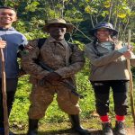 gorilla trekking Bwindi vs Mgahinga Gorilla Trekking: