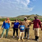 Safari Tips for First-Time Travellers 2027-2028