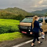 Self-Drive vs Guided Safari in Uganda Self-Drive vs Guided Safari in Uganda