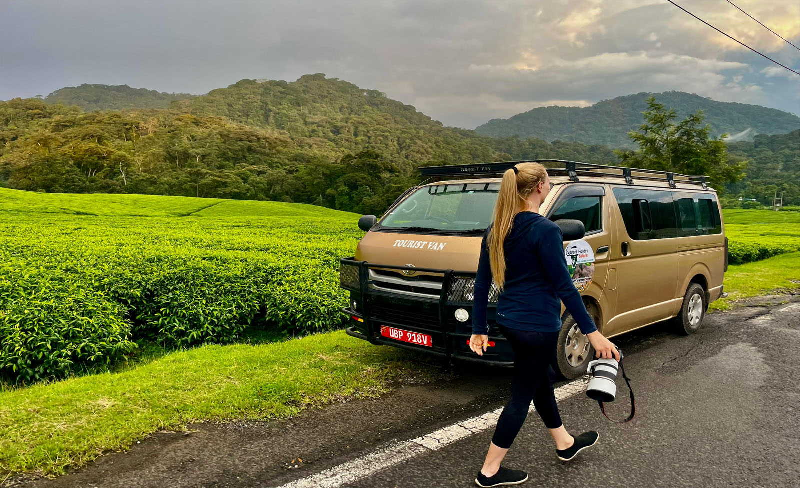 Self-Drive vs Guided Safari in Uganda