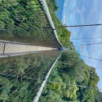 The Top 3 must Visit Rwanda National Parks The Top 3 must Visit Rwanda National Parks